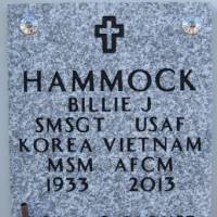 Billie Joe (Veteran 2 Wars) HAMMOCK