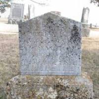 William H HALE