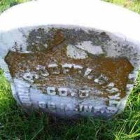 John P  (Veteran Union) DOFFLEMYER
